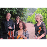 Cleveden String Quartet 1076957 Image 1